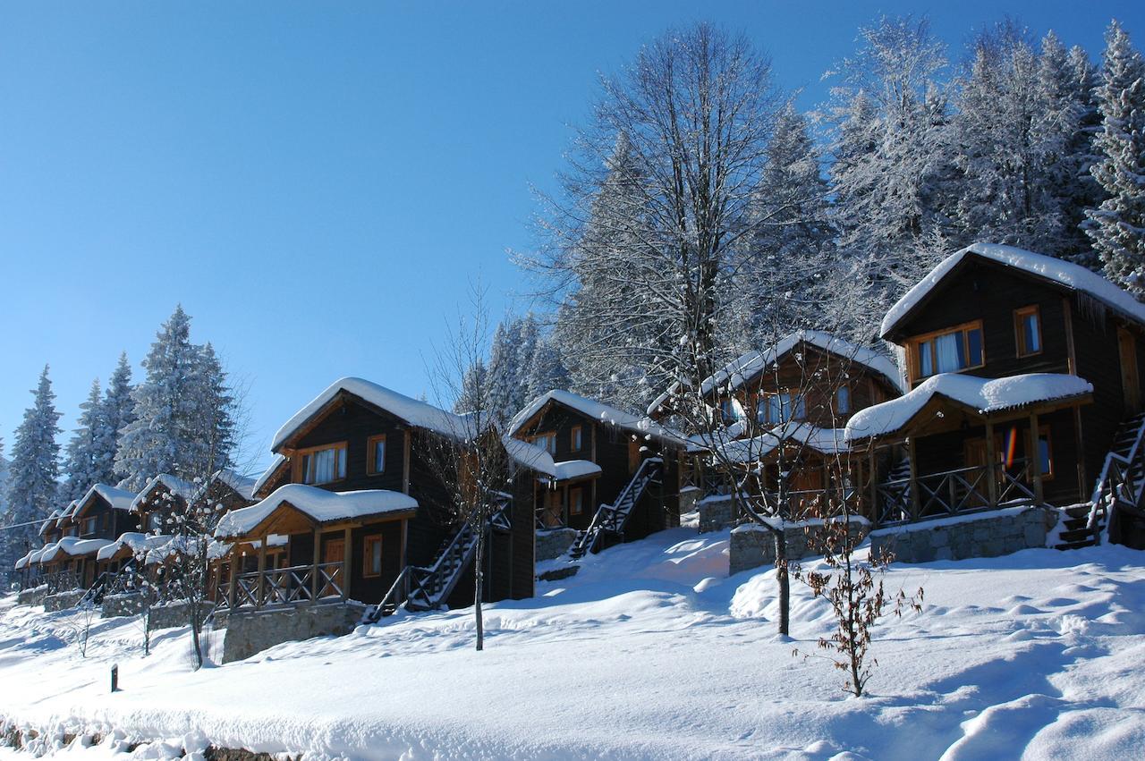 Zitas Zigana Yayla Tatil Koyu Macka Esterno foto