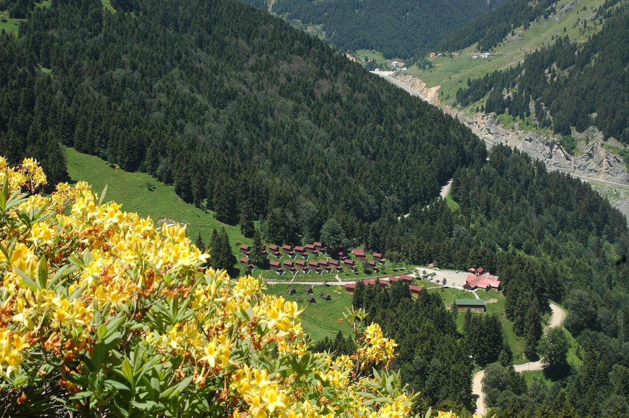 Zitas Zigana Yayla Tatil Koyu Macka Esterno foto