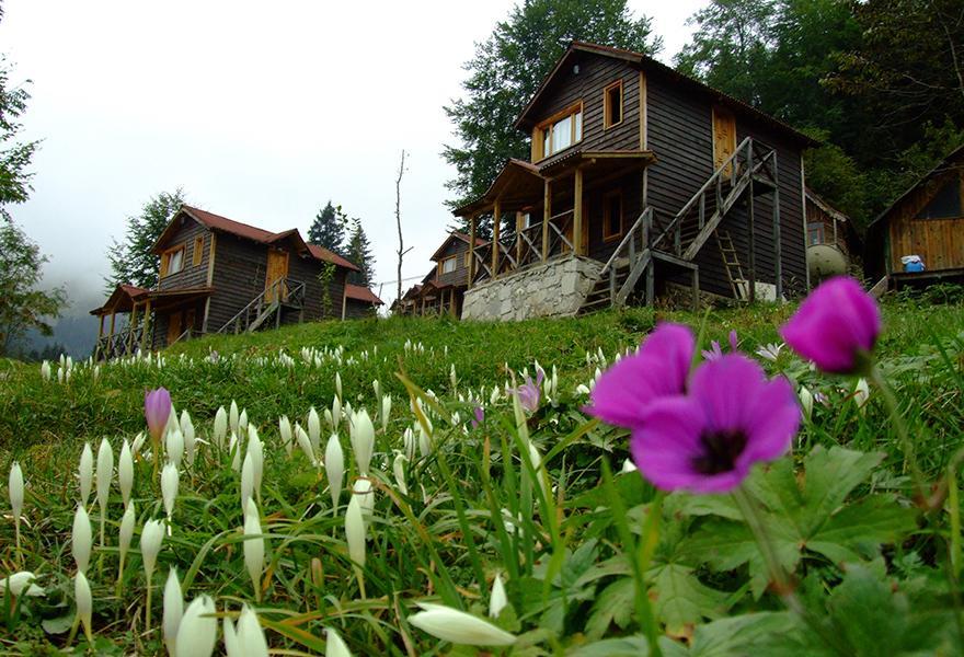 Zitas Zigana Yayla Tatil Koyu Macka Esterno foto