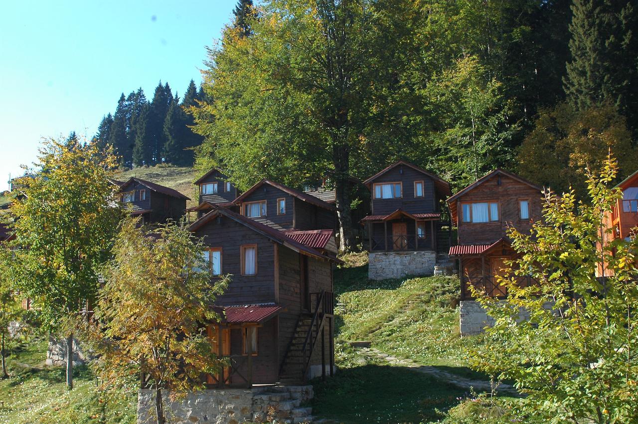 Zitas Zigana Yayla Tatil Koyu Macka Esterno foto
