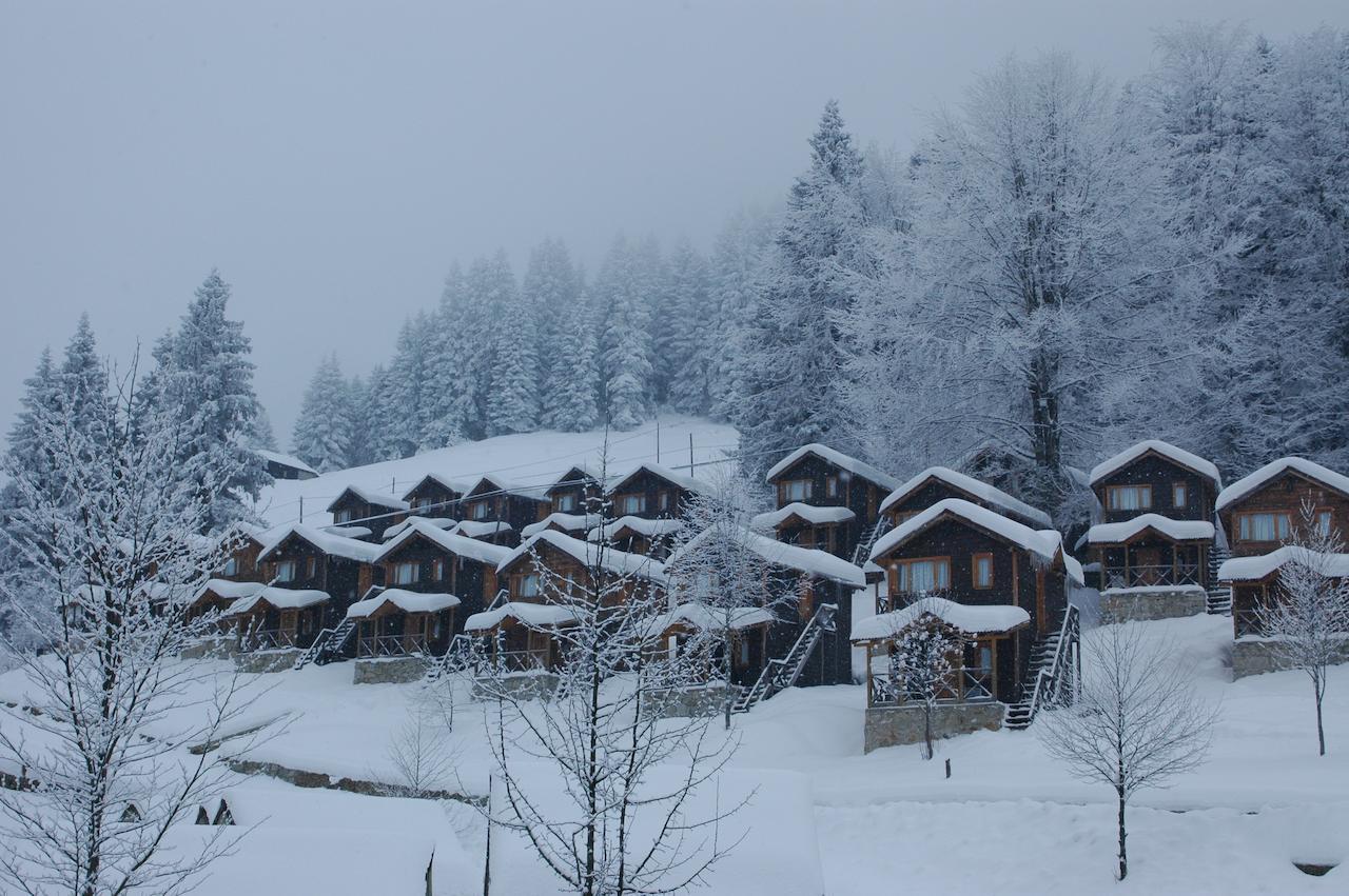 Zitas Zigana Yayla Tatil Koyu Macka Esterno foto