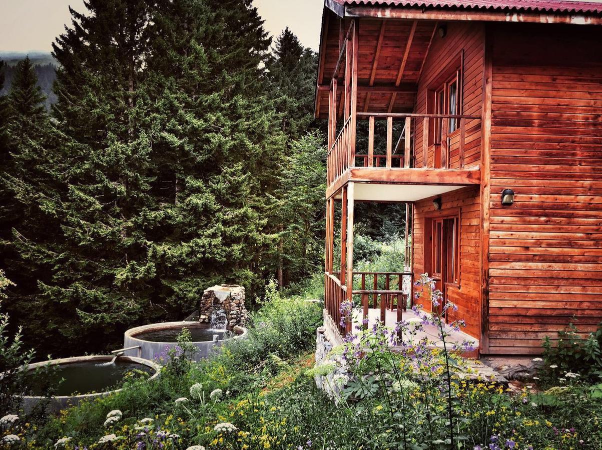 Zitas Zigana Yayla Tatil Koyu Macka Esterno foto