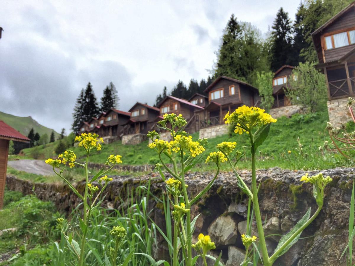Zitas Zigana Yayla Tatil Koyu Macka Esterno foto
