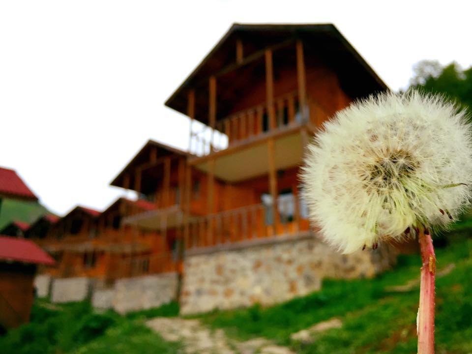 Zitas Zigana Yayla Tatil Koyu Macka Esterno foto